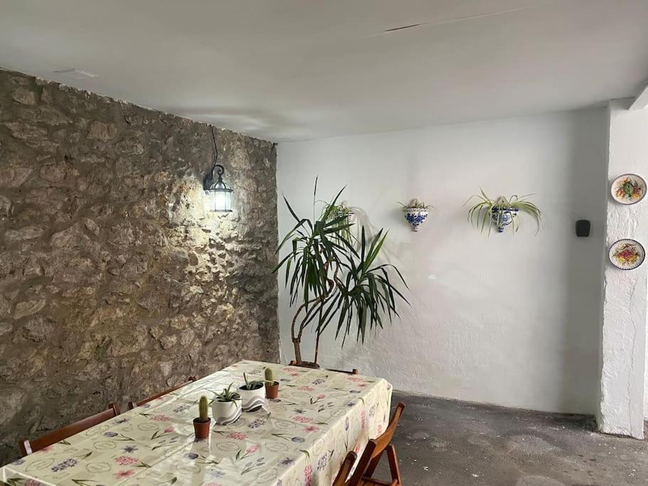 Apartamentos Caba 페드레냐 외부 사진